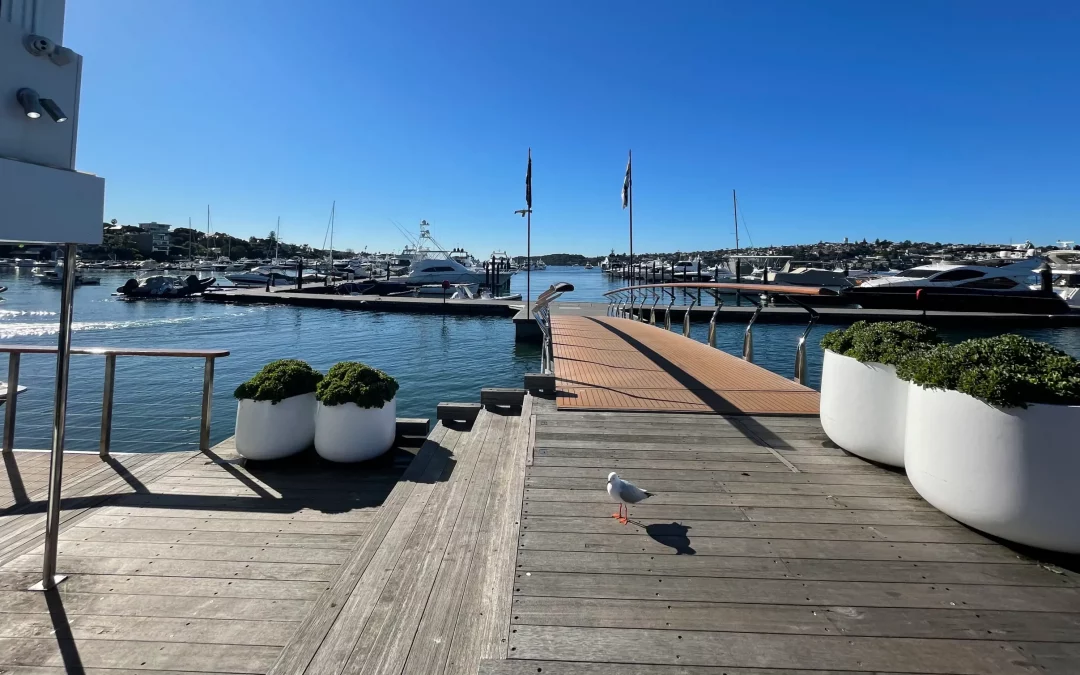 Rose Bay